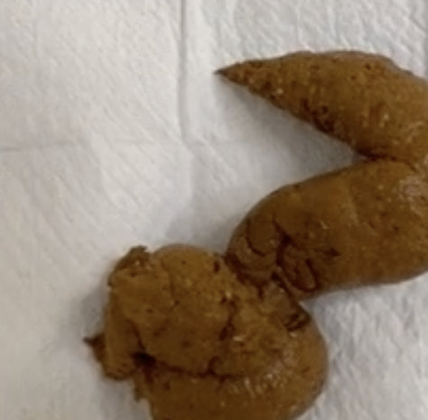 LetJuliett's scat fantasy